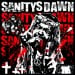 SANITYS DAWN - The Violent Type