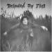 BEFOULED BY FLIES - Befouled By Flies