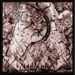 PENTACLE / ETERNAL SOLSTICE - Split