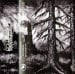 AZATHOTH'S DREAM - Nocturnal Vampyric Bewitchment