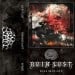 RUIN LUST - Dissimulant