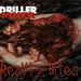 DRILLER KILLER - Reality Bites
